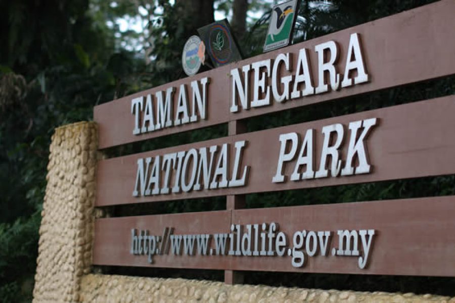 Daytour Ex Kuala Tahan