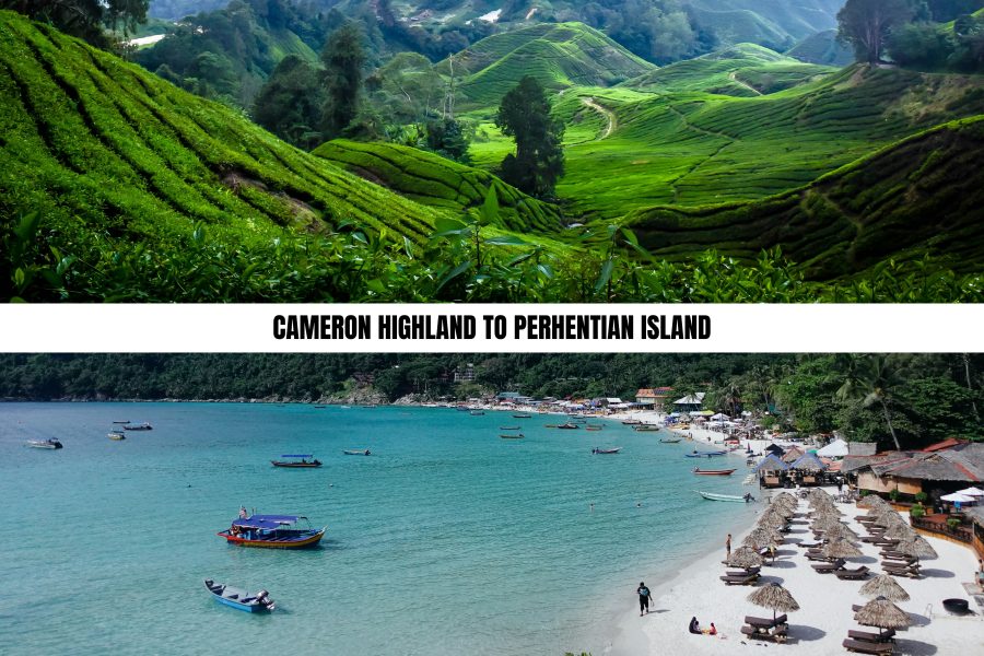 Cameron Highlands to Pehentian Island