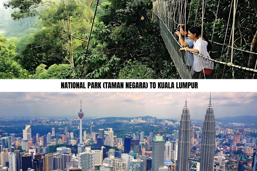 National Park (Taman Negara) to Jerantut